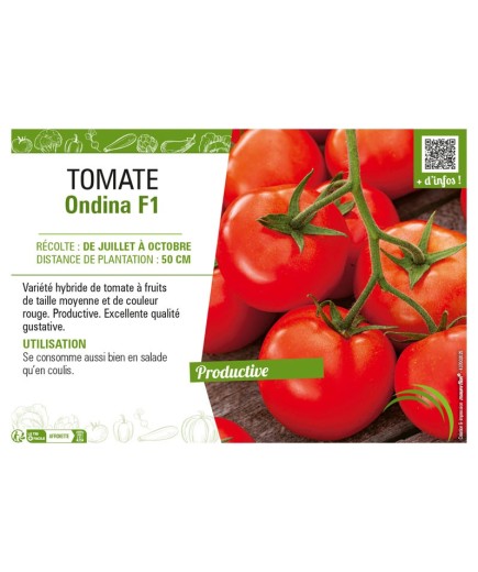 TOMATE ONDINA F1