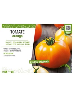 TOMATE ORANGE