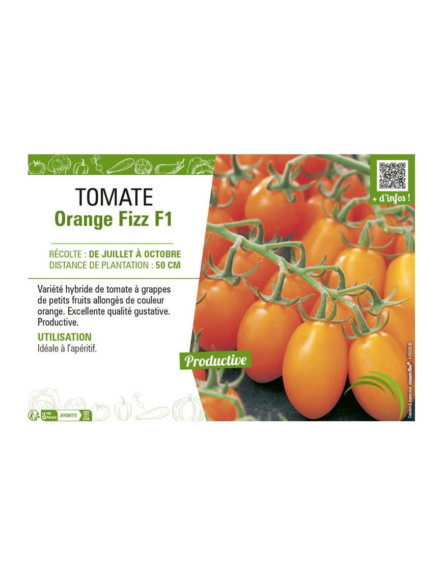 TOMATE ORANGE FIZZ F1