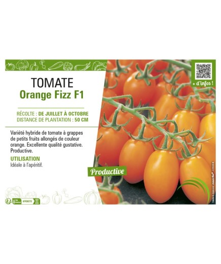 TOMATE ORANGE FIZZ F1
