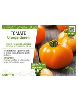 TOMATE ORANGE QUEEN