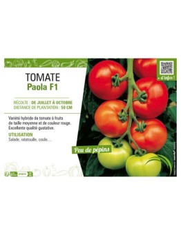 TOMATE PAOLA F1