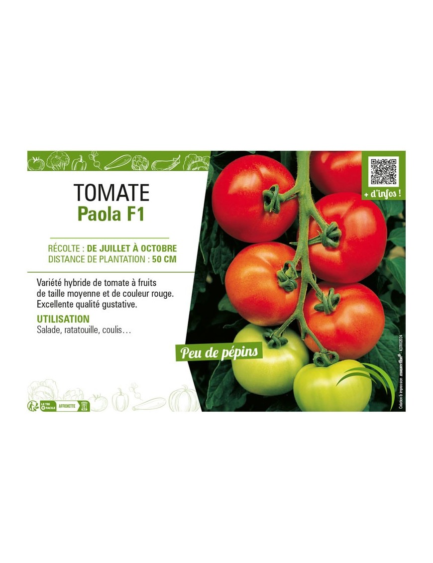 TOMATE PAOLA F1