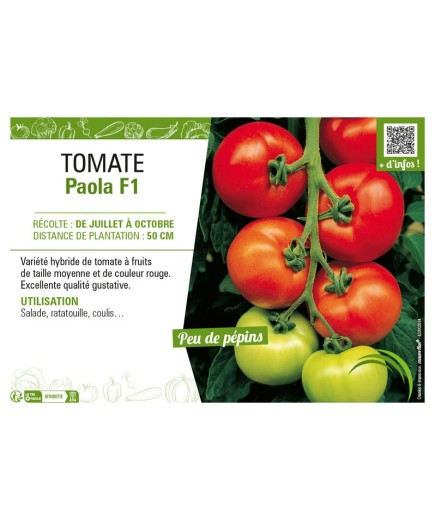 TOMATE PAOLA F1
