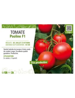 TOMATE PAOLINE F1