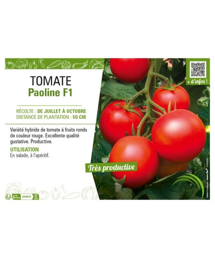 TOMATE PAOLINE F1