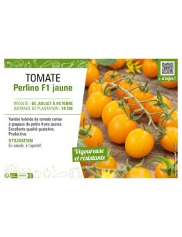 TOMATE PERLINO F1 JAUNE