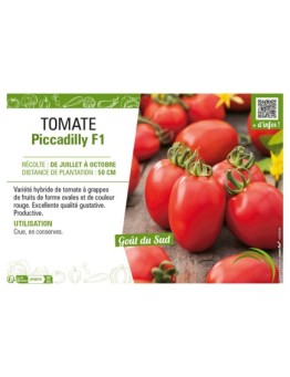 TOMATE PICCADILLY F1