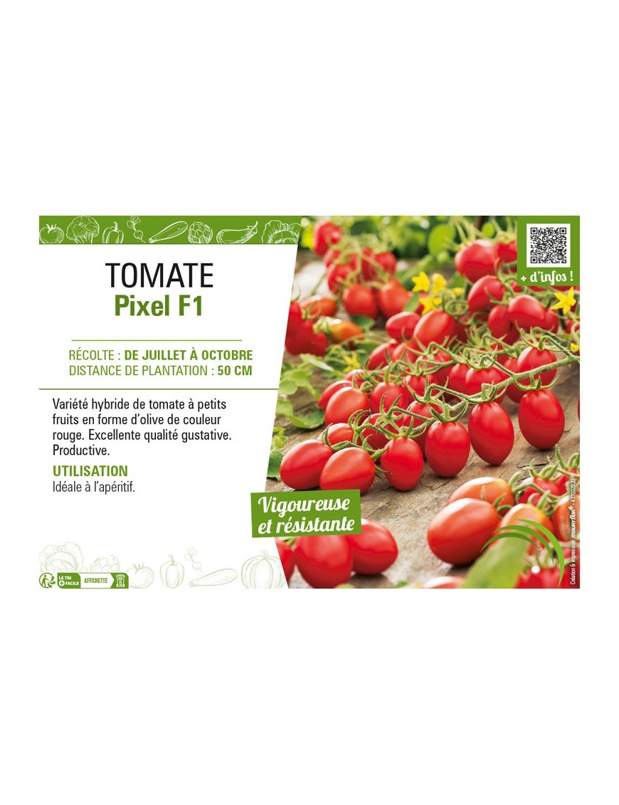 TOMATE PIXEL F1