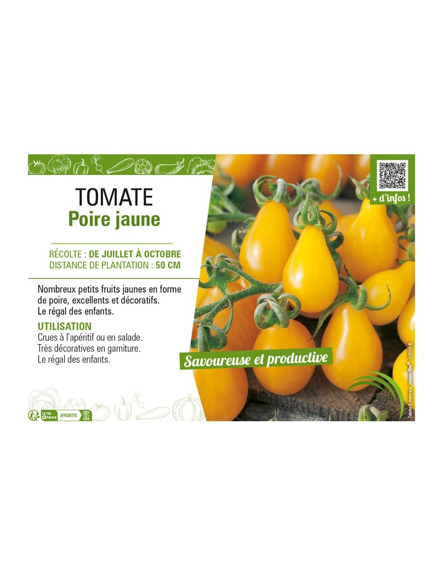 TOMATE POIRE JAUNE