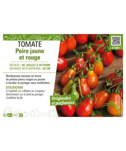TOMATE POIRE JAUNE ET ROUGE
