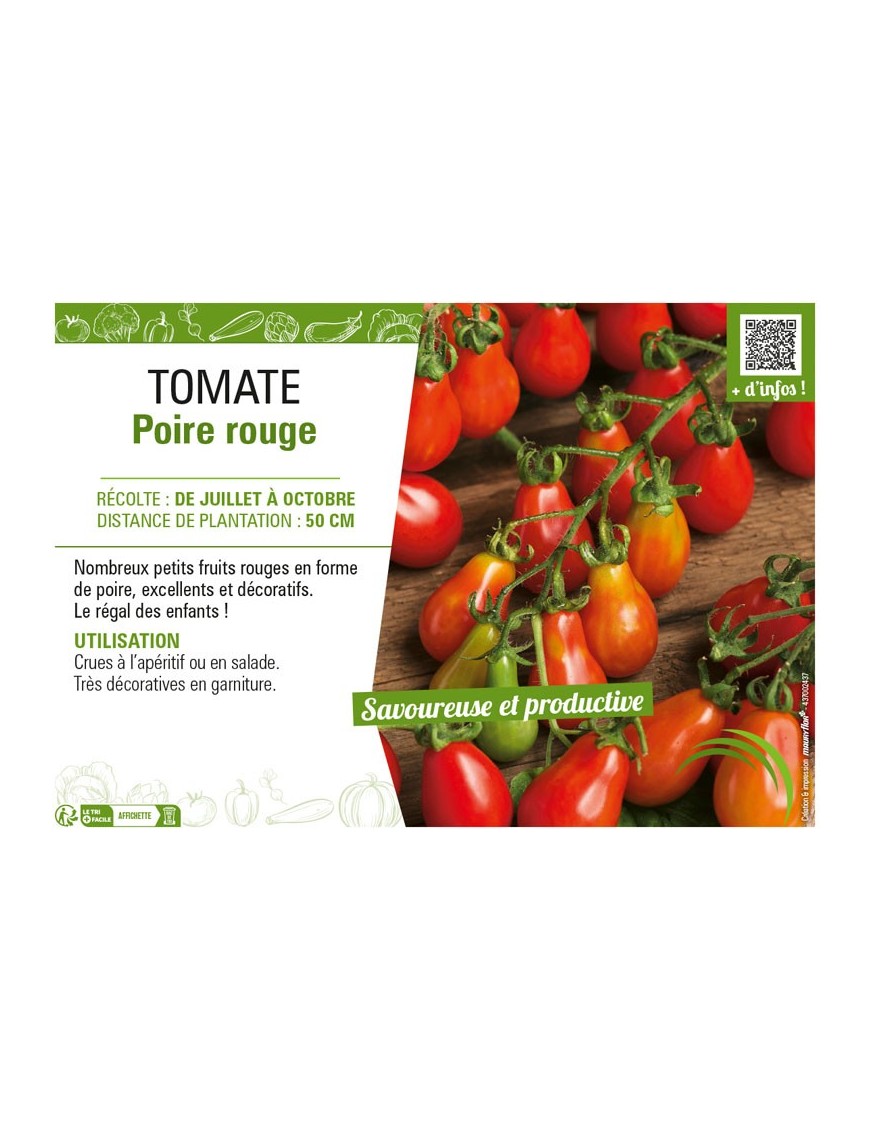 TOMATE POIRE ROUGE