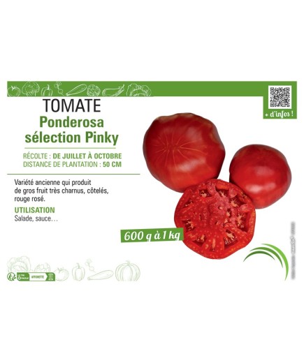 TOMATE PONDEROSA SELECTION PINKY