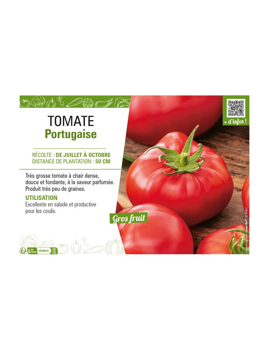 TOMATE PORTUGAISE