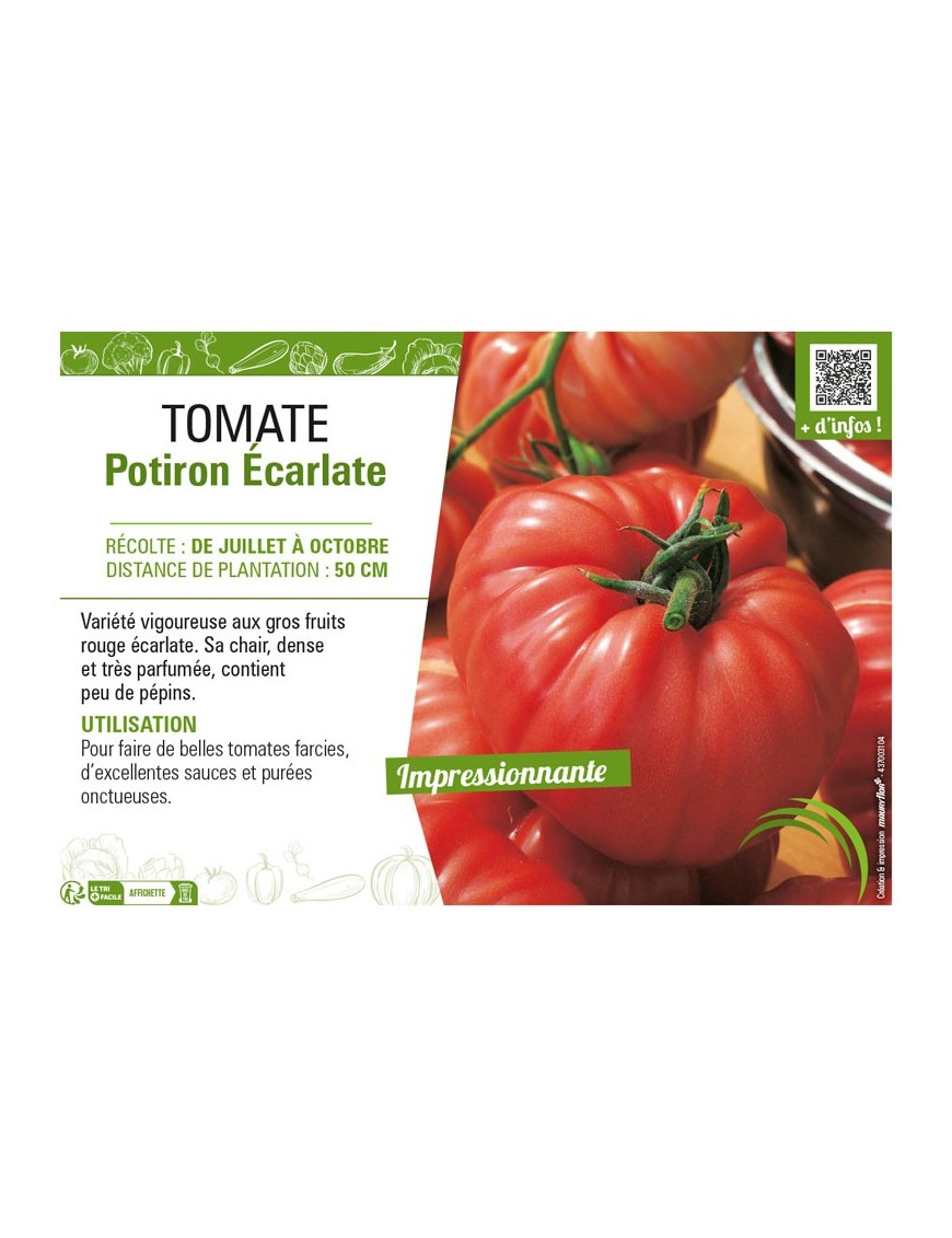 TOMATE POTIRON ÉCARLATE