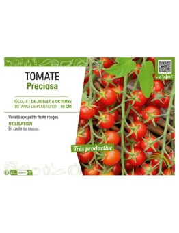 TOMATE PRECIOSA