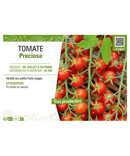 TOMATE PRECIOSA