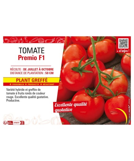 TOMATE PREMIO F1 Plant greffé