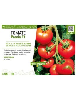 TOMATE PREVIA F1