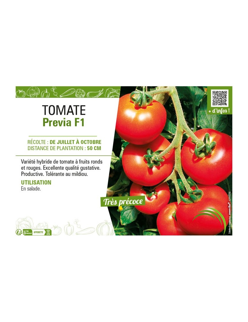 TOMATE PREVIA F1