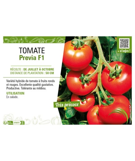 TOMATE PREVIA F1