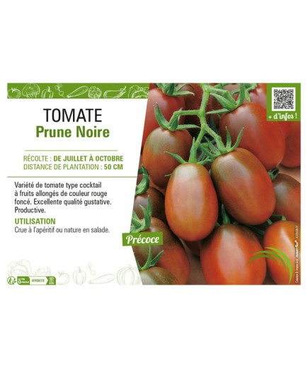 TOMATE PRUNE NOIRE