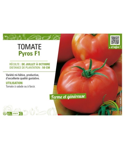 TOMATE PYROS F1