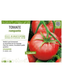 TOMATE RAMPANTE