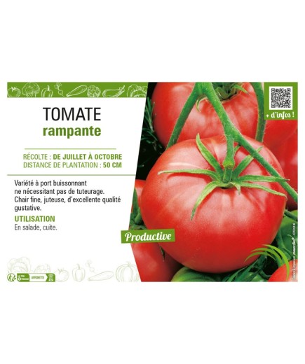 TOMATE RAMPANTE