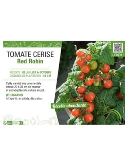 TOMATE CERISE RED ROBIN