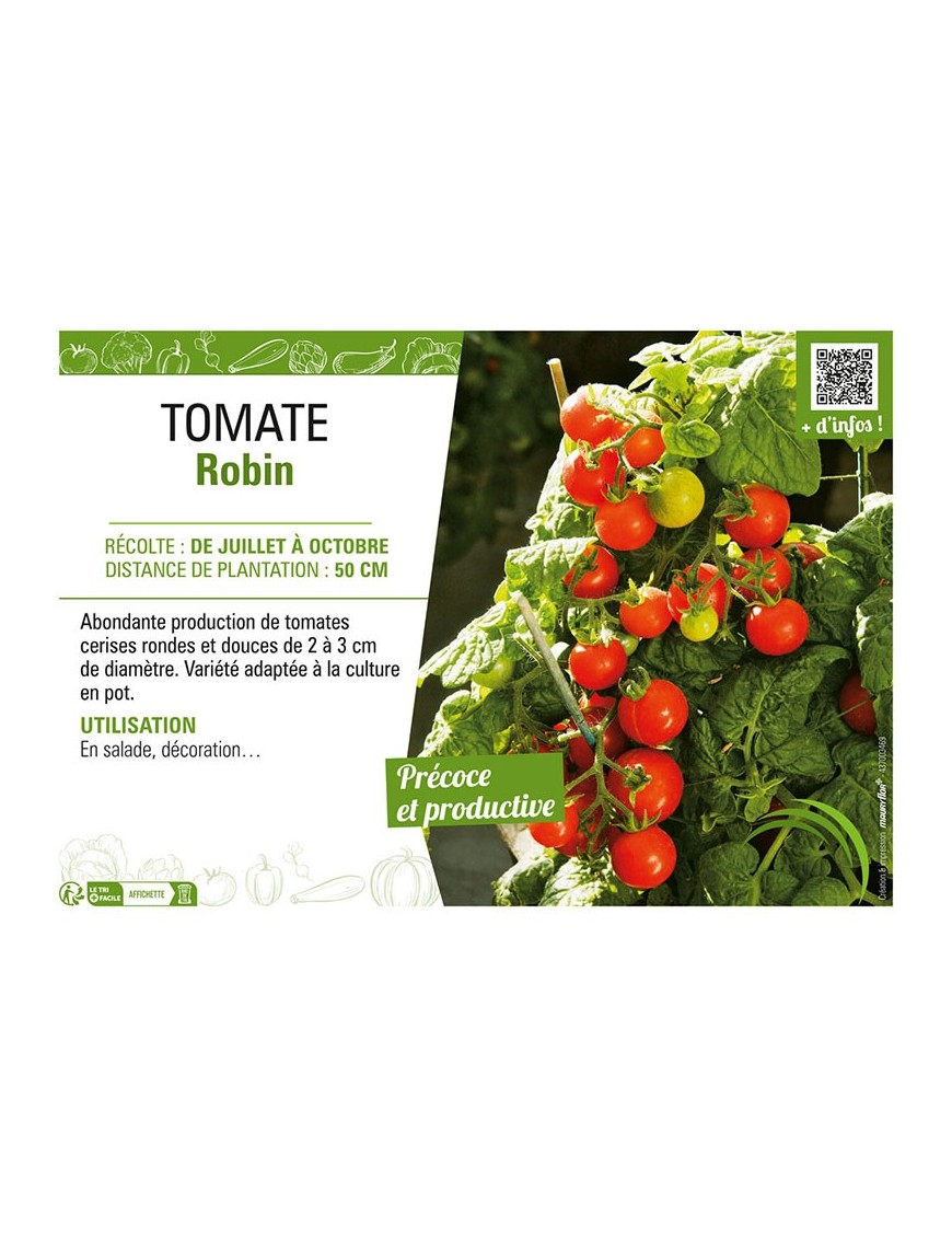 TOMATE ROBIN
