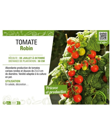 TOMATE ROBIN