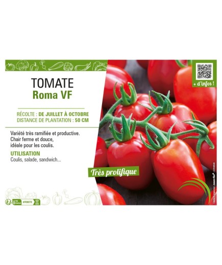 TOMATE ROMA VF