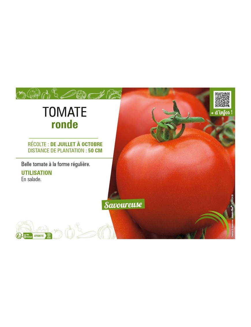 TOMATE RONDE
