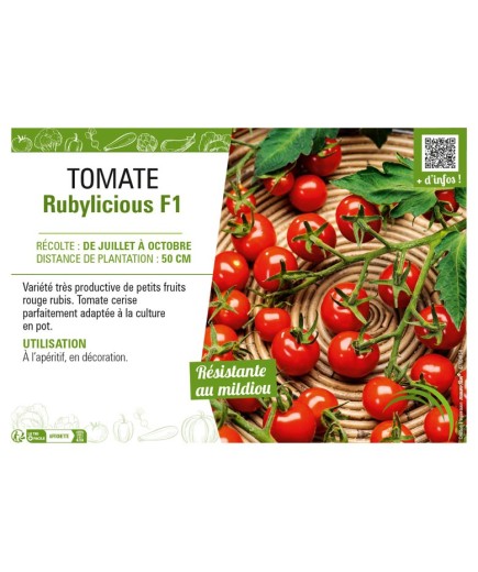 TOMATE RUBYLICIOUS F1