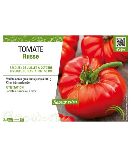 TOMATE RUSSE
