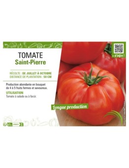 TOMATE SAINT-PIERRE