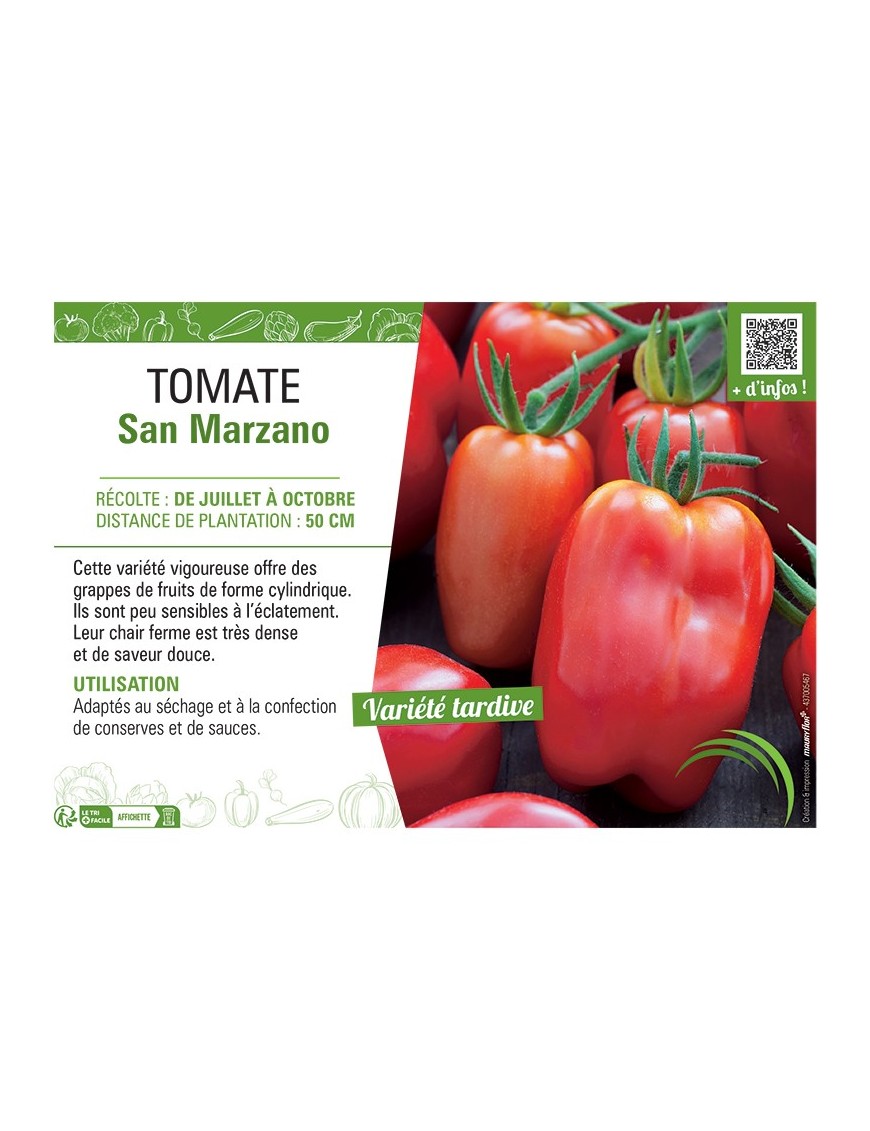 TOMATE SAN MARZANO