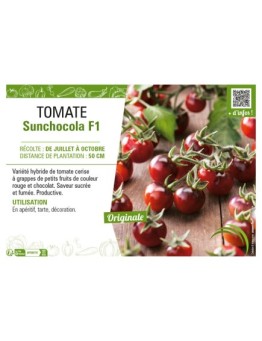 TOMATE SUNCHOCOLA F1