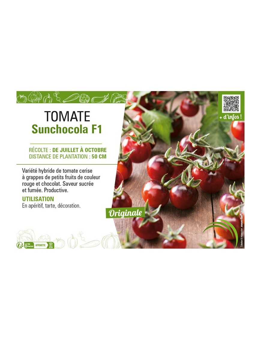 TOMATE SUNCHOCOLA F1