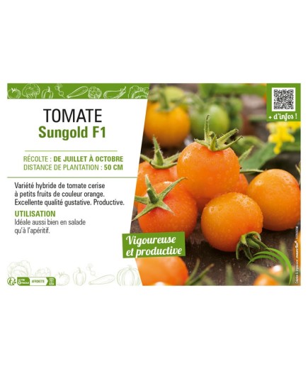 TOMATE SUNGOLD F1