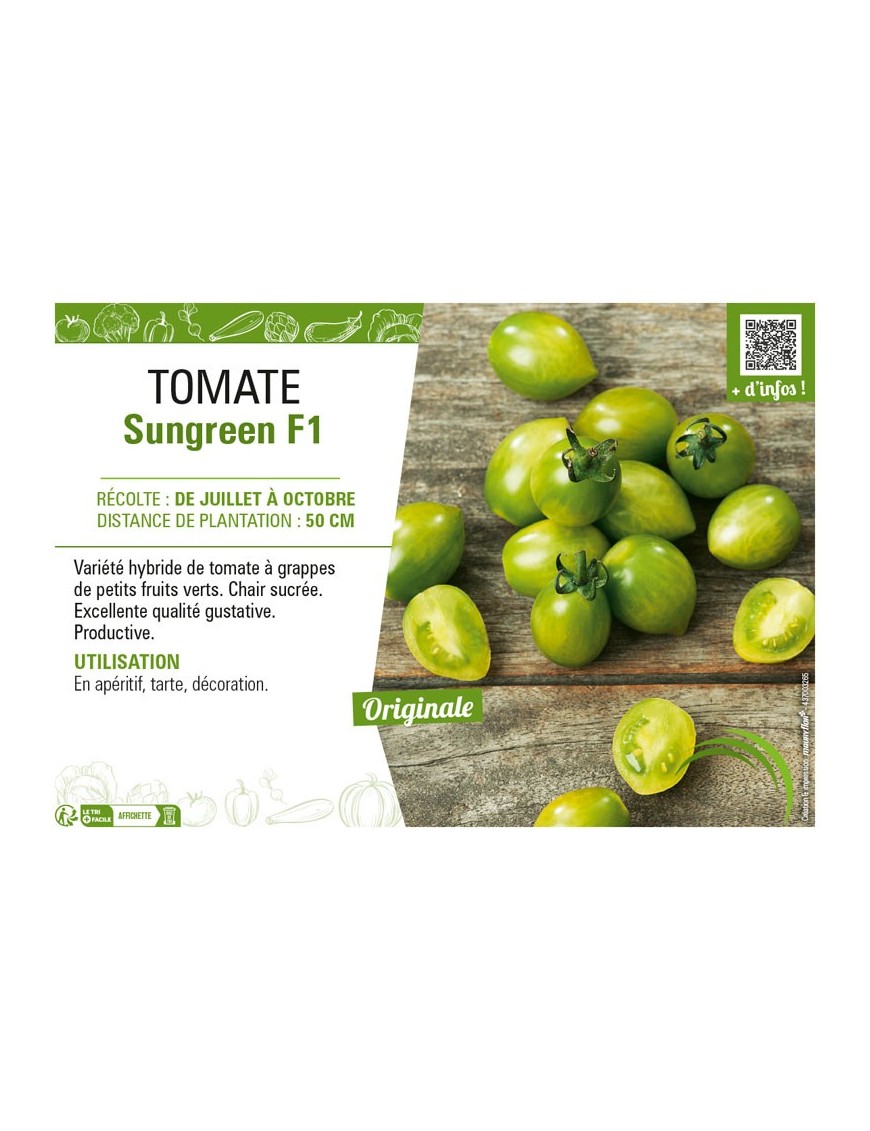 TOMATE SUNGREEN F1