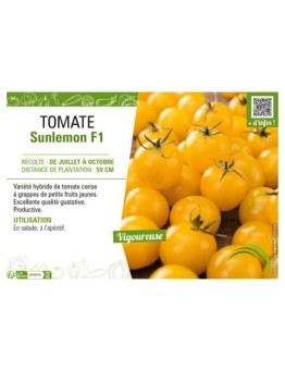 TOMATE SUNLEMON F1