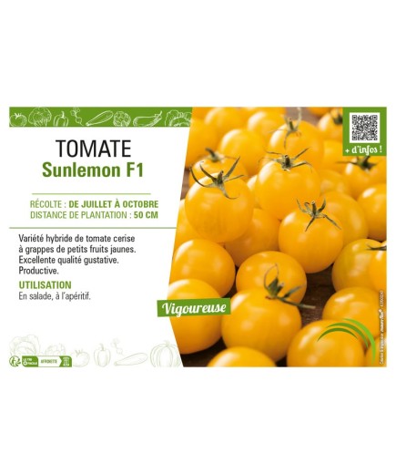 TOMATE SUNLEMON F1