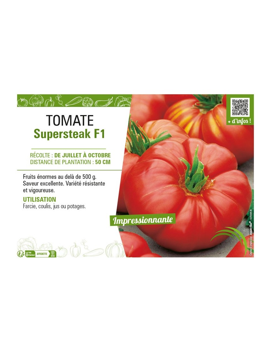 TOMATE SUPERSTEAK F1