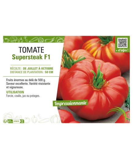 TOMATE SUPERSTEAK F1