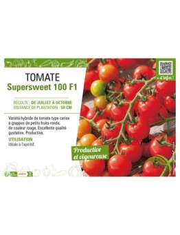 TOMATE SUPERSWEET 100 F1