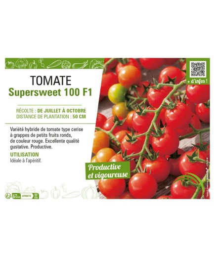TOMATE SUPERSWEET 100 F1