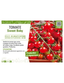 TOMATE SWEET BABY