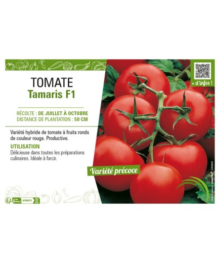 TOMATE TAMARIS F1